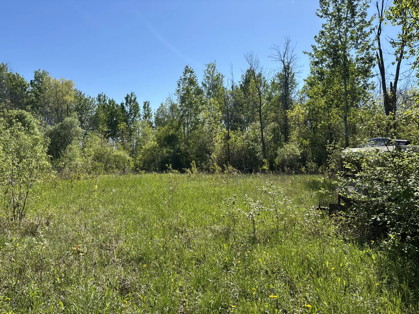 1.46-Acre Site | South Stormont